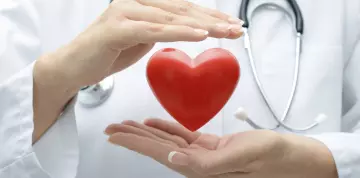 A Q10 koenzim felszívódása, hasznosulása, valamint hatása a szív és az érrendszere 